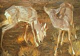 Deer at Dusk by Franz Marc